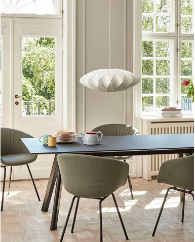 Ceiling Lamps